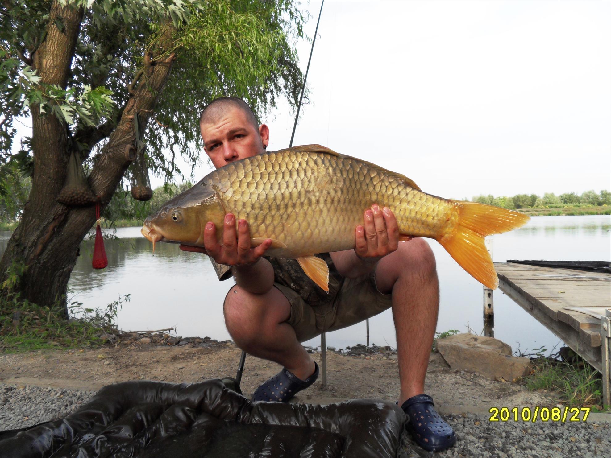 Nagykallo 2010 - nagykallo-97.JPG